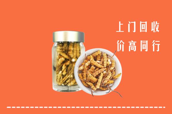 高价求购：成都金牛回收冬虫夏草